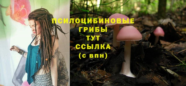 винт Осташков