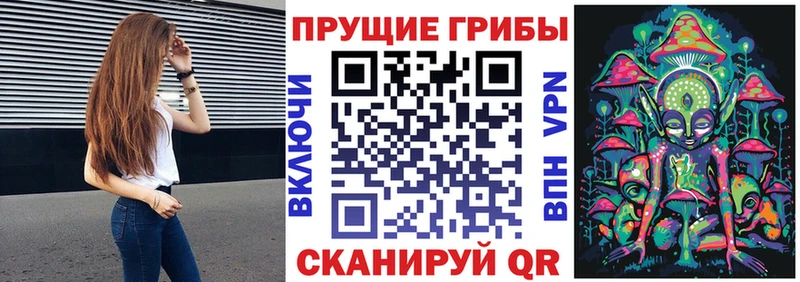 Галлюциногенные грибы Psilocybe  цена наркотик  Кыштым 