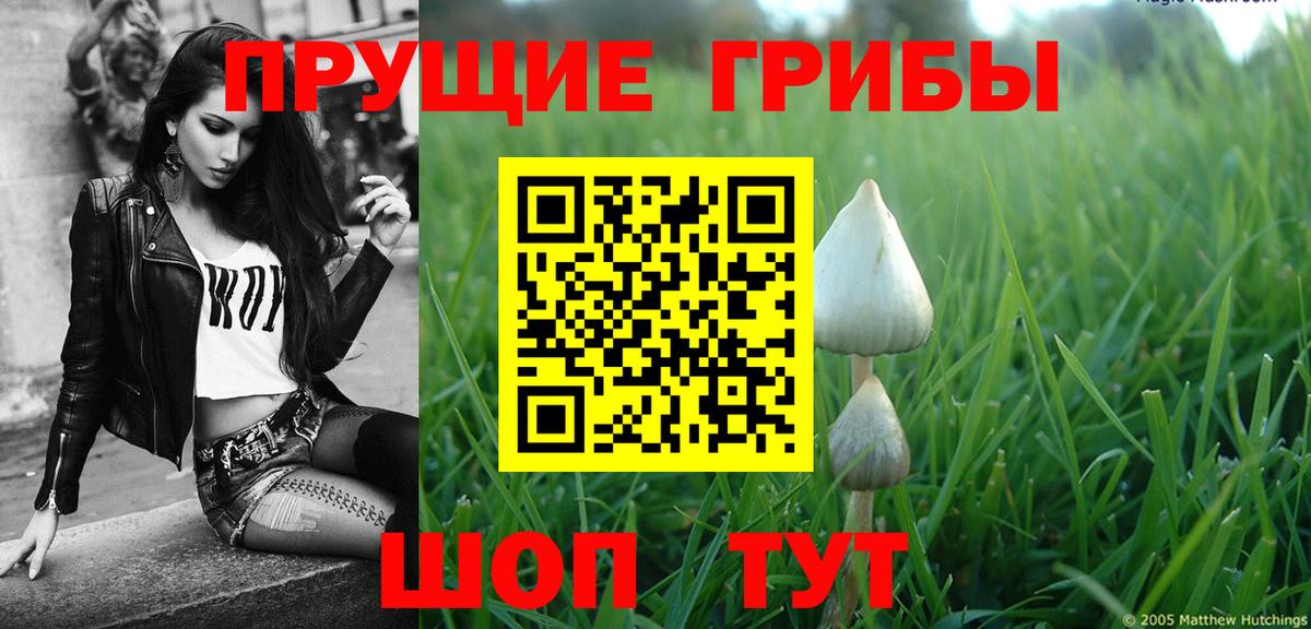 Галлюциногенные грибы GOLDEN TEACHER  Вход с VPN  Кыштым 