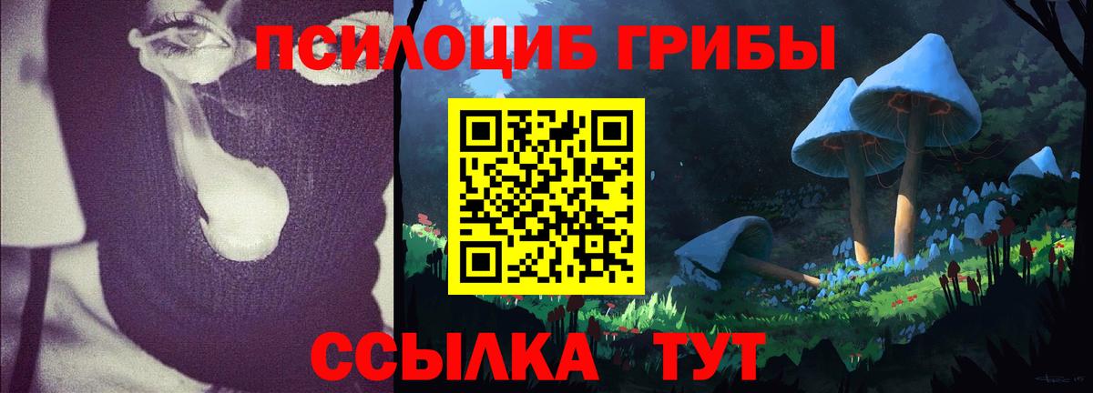 Галлюциногенные грибы MAGIC MUSHROOMS  Псилоцибиновые грибы Cubensis  Кыштым 